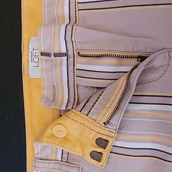 Ann Taylor LOFT petites Skirt Size 4P - Picture 5 of 5